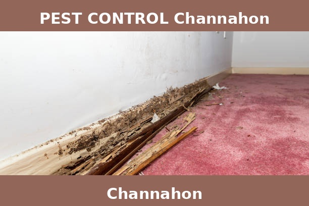 PEST CONTROL Channahon